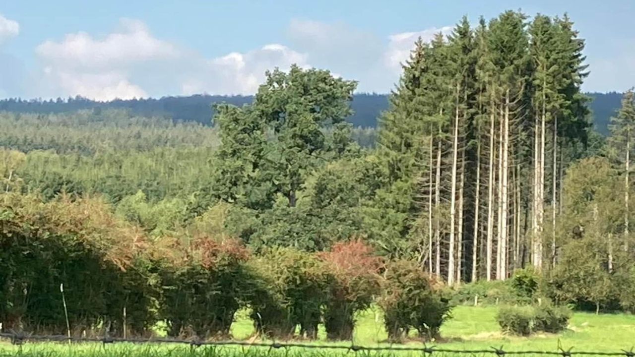 AreaSummer20KM AreaSummer20KM